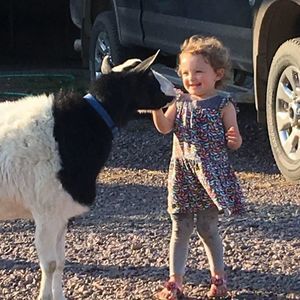 Meet your Posher, Sue